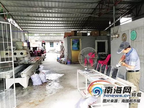 环境整治显成效 澄迈加乐石料加工厂扬尘噪音扰民整改记